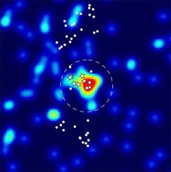 ��������� XII